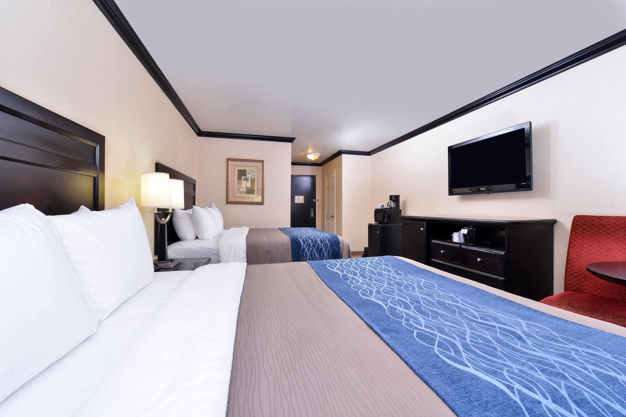 Avenue Hotel, Ascend Hotel Collection Λος Άντζελες Εξωτερικό φωτογραφία